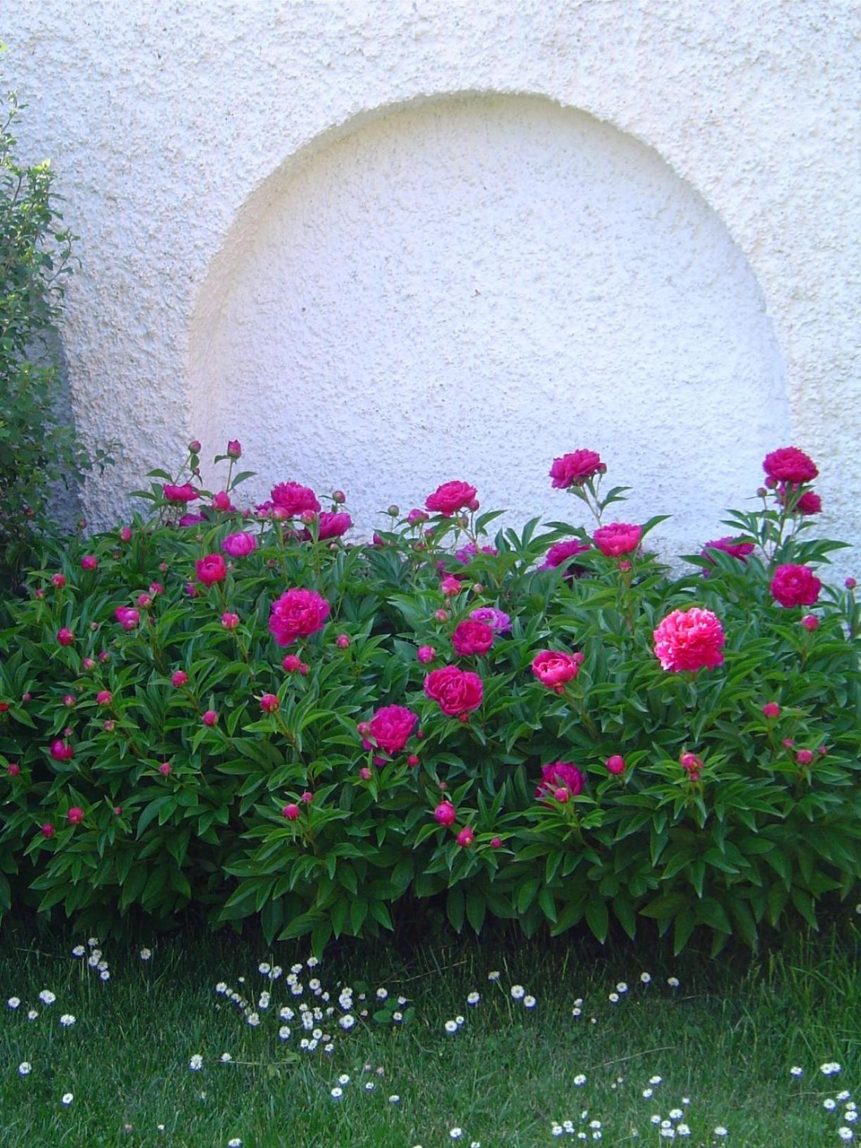 Lunczer Vendeghaz Hotel Mosonmagyaróvár Buitenkant foto